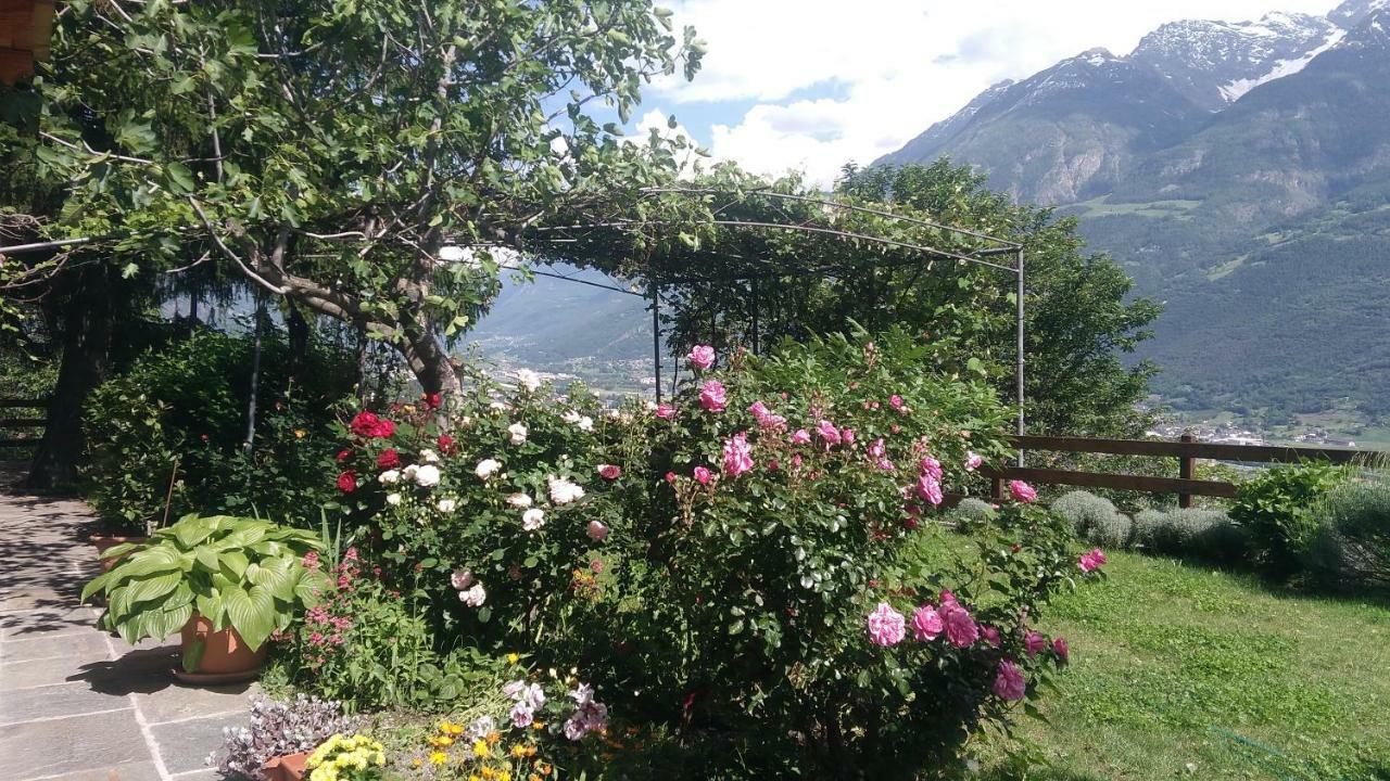 Apartmán La Casa Di Alfredo E Virginia Aosta Exteriér fotografie